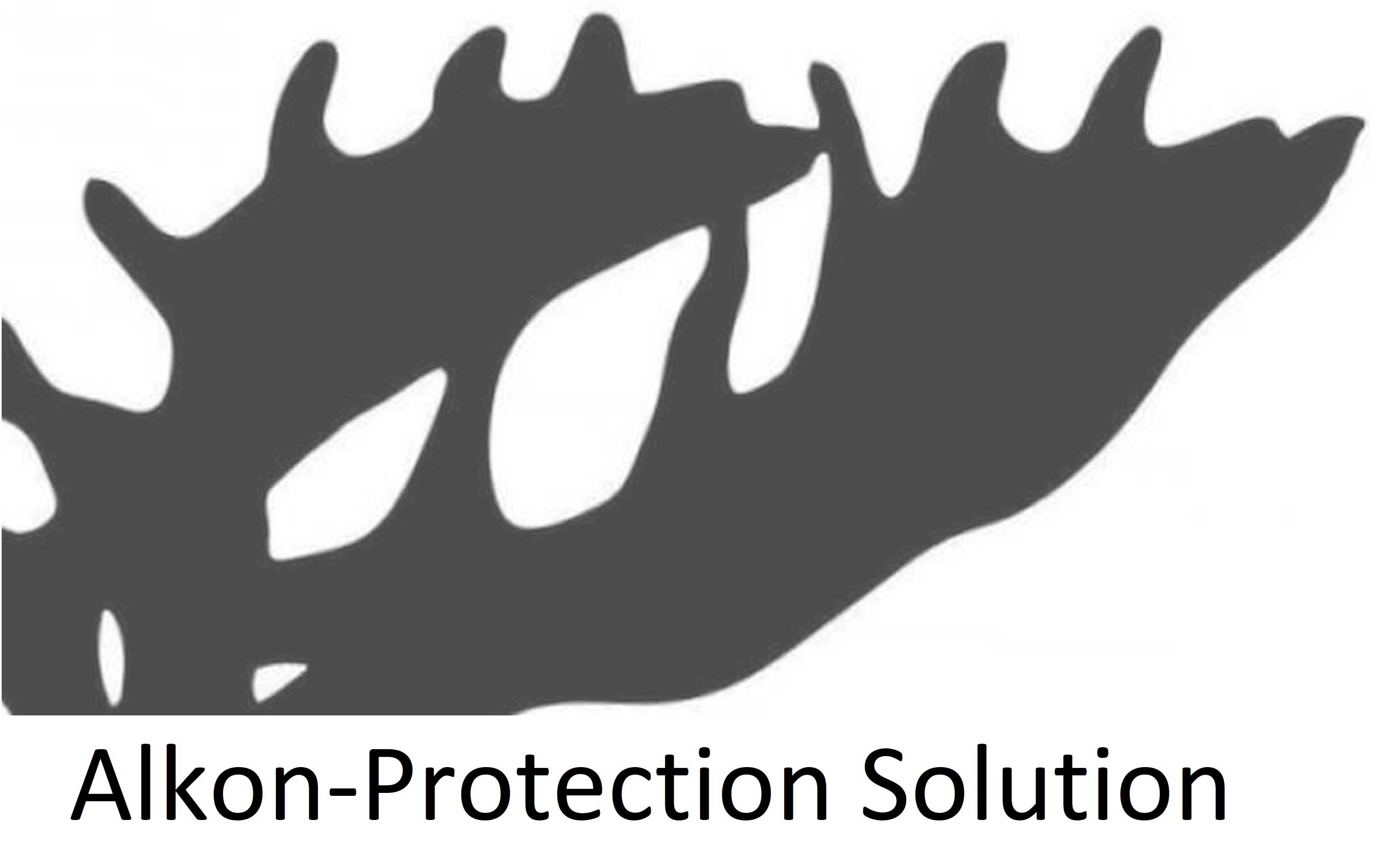 Alkon-Protection Solution UG Startseite 